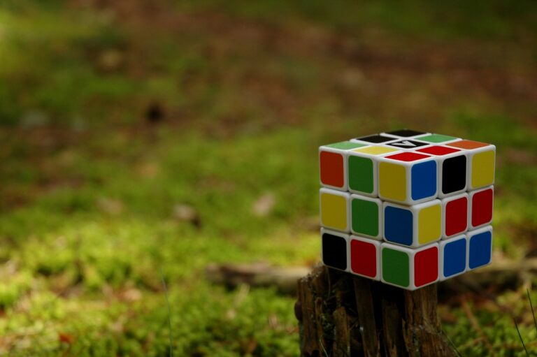 Regulations no 40’94 art. 7(1)(e)(ii) Rubik’s cube as a three-dimensional trademark